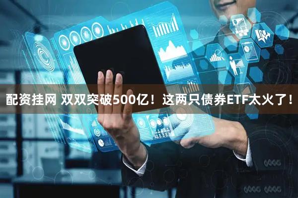 配资挂网 双双突破500亿！这两只债券ETF太火了！